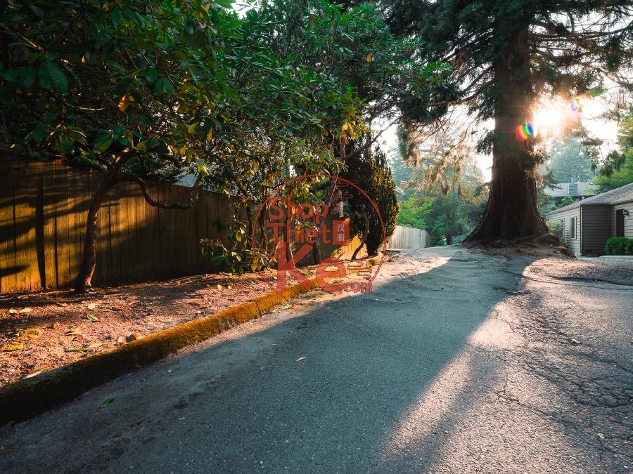 Preset Lightroom Phong Cảnh Forest Tone – Xanh Rừng & Autumn Mood (XMP/DNG) 5 shopthietke com 都市建筑城市RAW原片 3