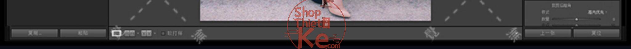 shopthietke com Shopthietke.com 238 scaled