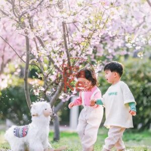 16 Tone Hoa Anh Đào – Lung Linh Như Mùa Xuân Nhật Bản (XMP/DNG/CUBE/COS)