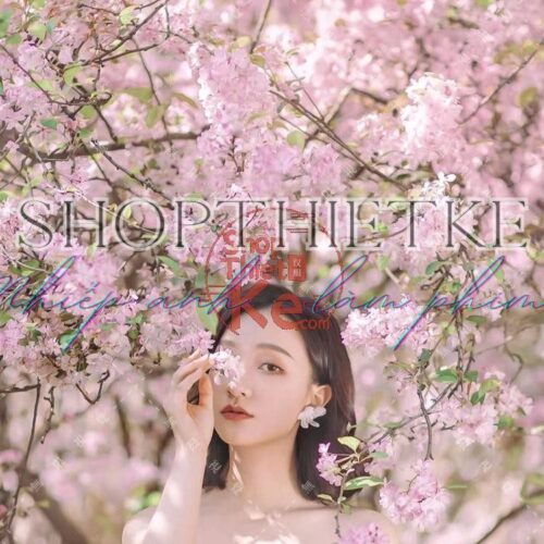 16 Tone Hoa Anh Đào – Lung Linh Như Mùa Xuân Nhật Bản (XMP/DNG/CUBE/COS)