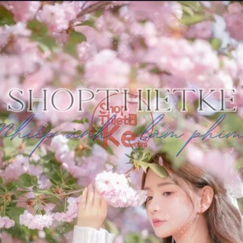 16 Tone Hoa Anh Đào – Lung Linh Như Mùa Xuân Nhật Bản (XMP/DNG/CUBE/COS)