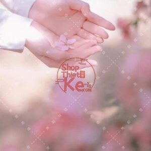 16 Tone Hoa Anh Đào – Lung Linh Như Mùa Xuân Nhật Bản (XMP/DNG/CUBE/COS)