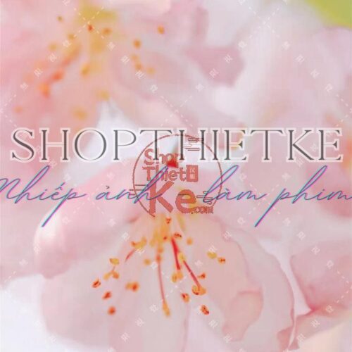 16 Tone Hoa Anh Đào – Lung Linh Như Mùa Xuân Nhật Bản (XMP/DNG/CUBE/COS)