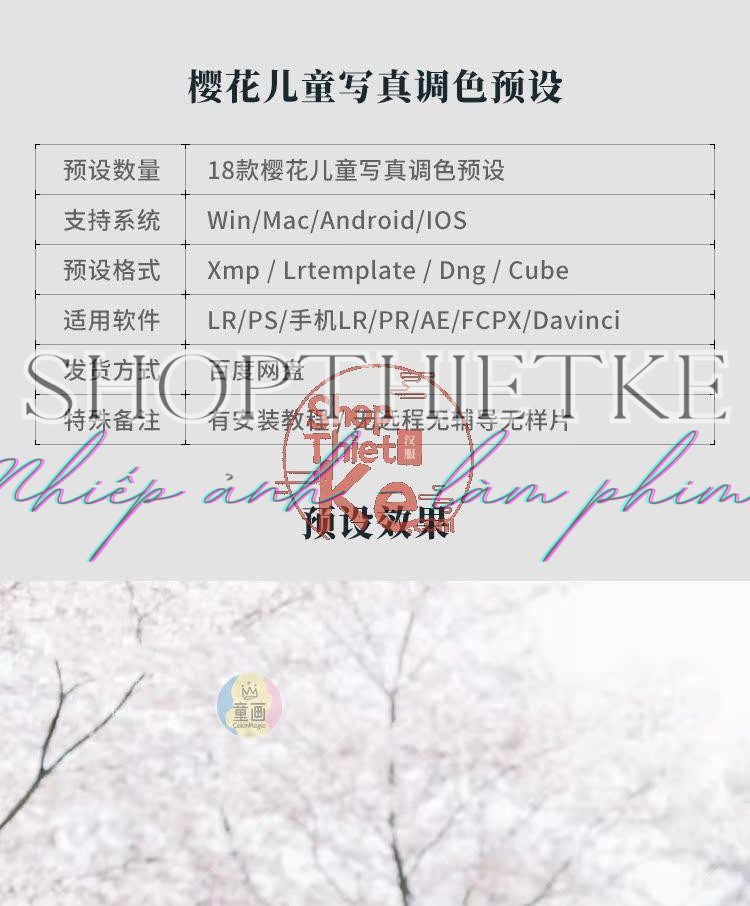 shopthietke com Shopthietke.com 300