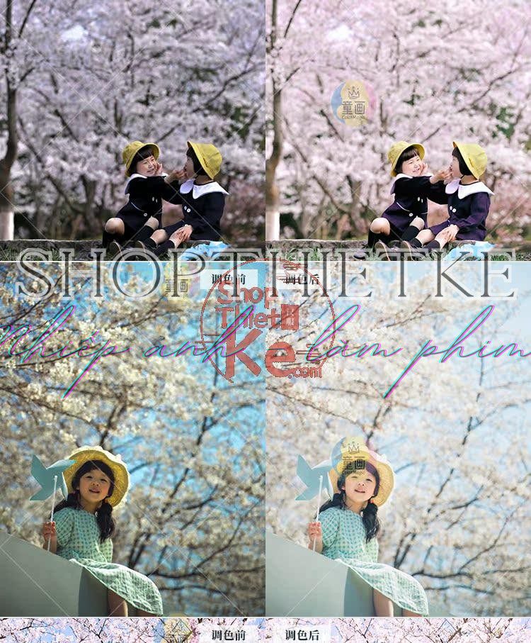 shopthietke com Shopthietke.com 302