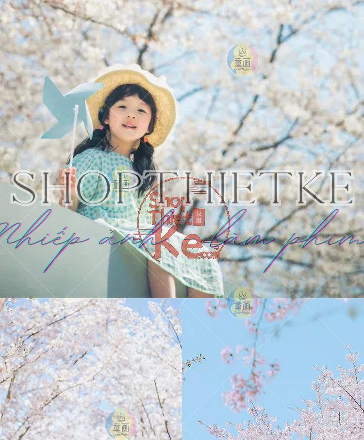 shopthietke com Shopthietke.com 307