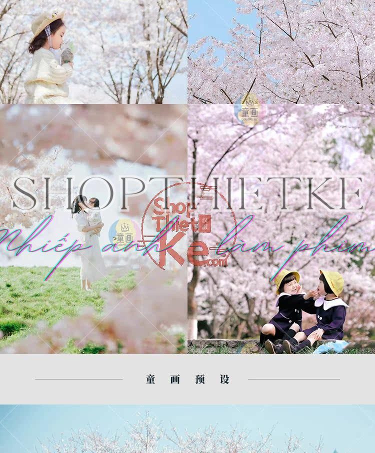 shopthietke com Shopthietke.com 308