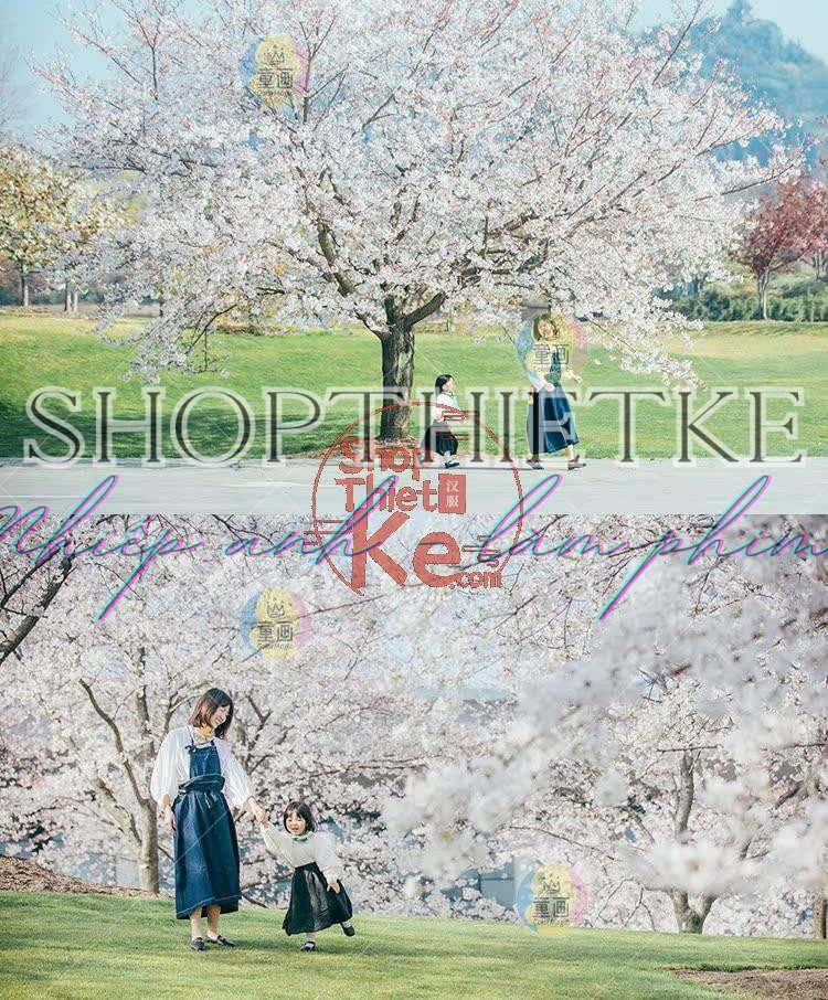 shopthietke com Shopthietke.com 309