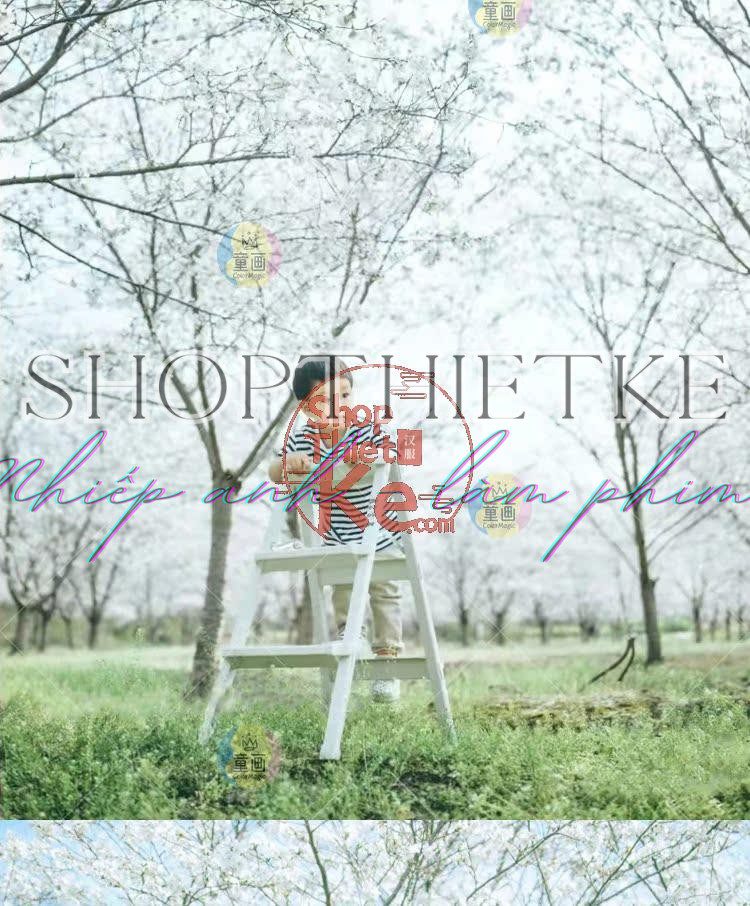 shopthietke com Shopthietke.com 311