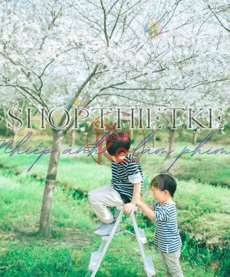 shopthietke com Shopthietke.com 312