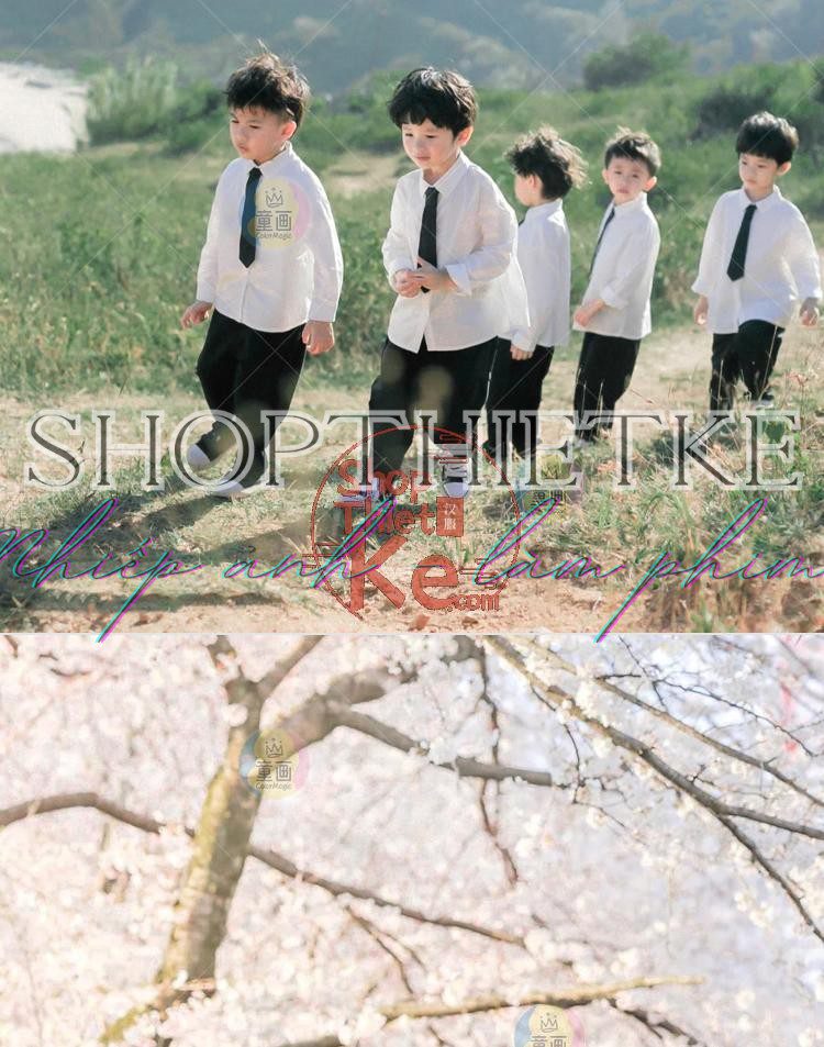 shopthietke com Shopthietke.com 327