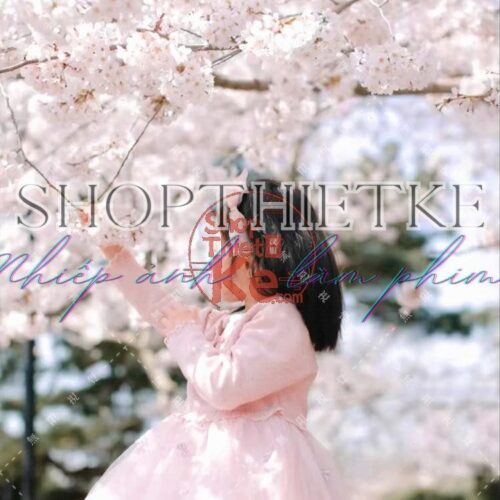 Sakura Film Preset Collection – 17 Tông Màu Phim Hồng Nhẹ Như Hoa Anh Đào (XMP/DNG/CUBE/COS)