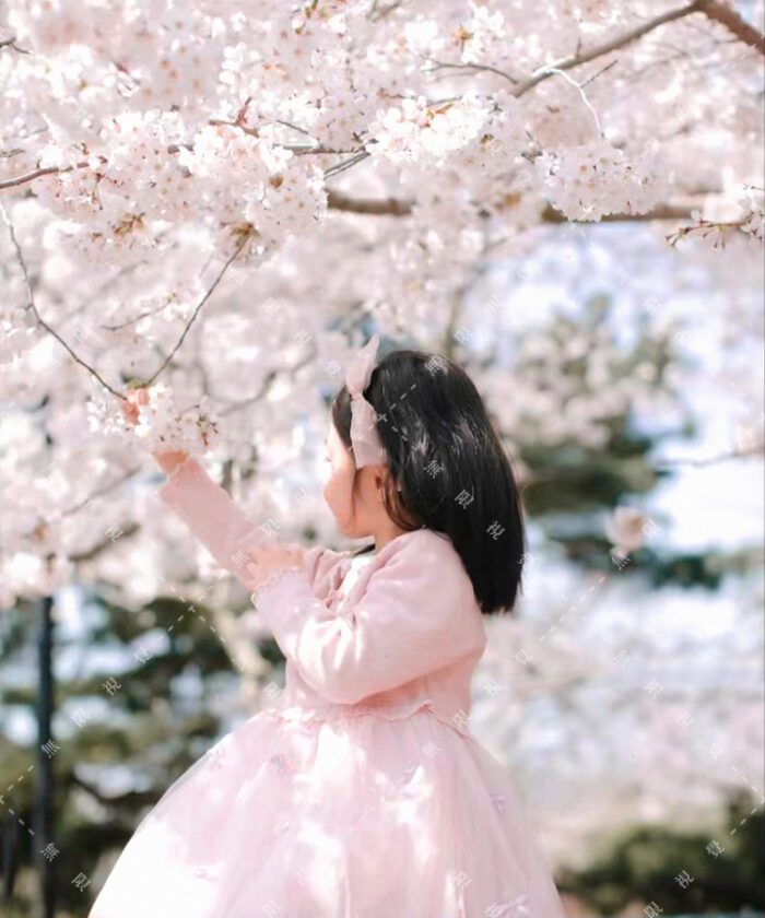 Sakura Film Preset Collection – 17 Tông Màu Phim Hồng Nhẹ Như Hoa Anh Đào (XMP/DNG/CUBE/COS)