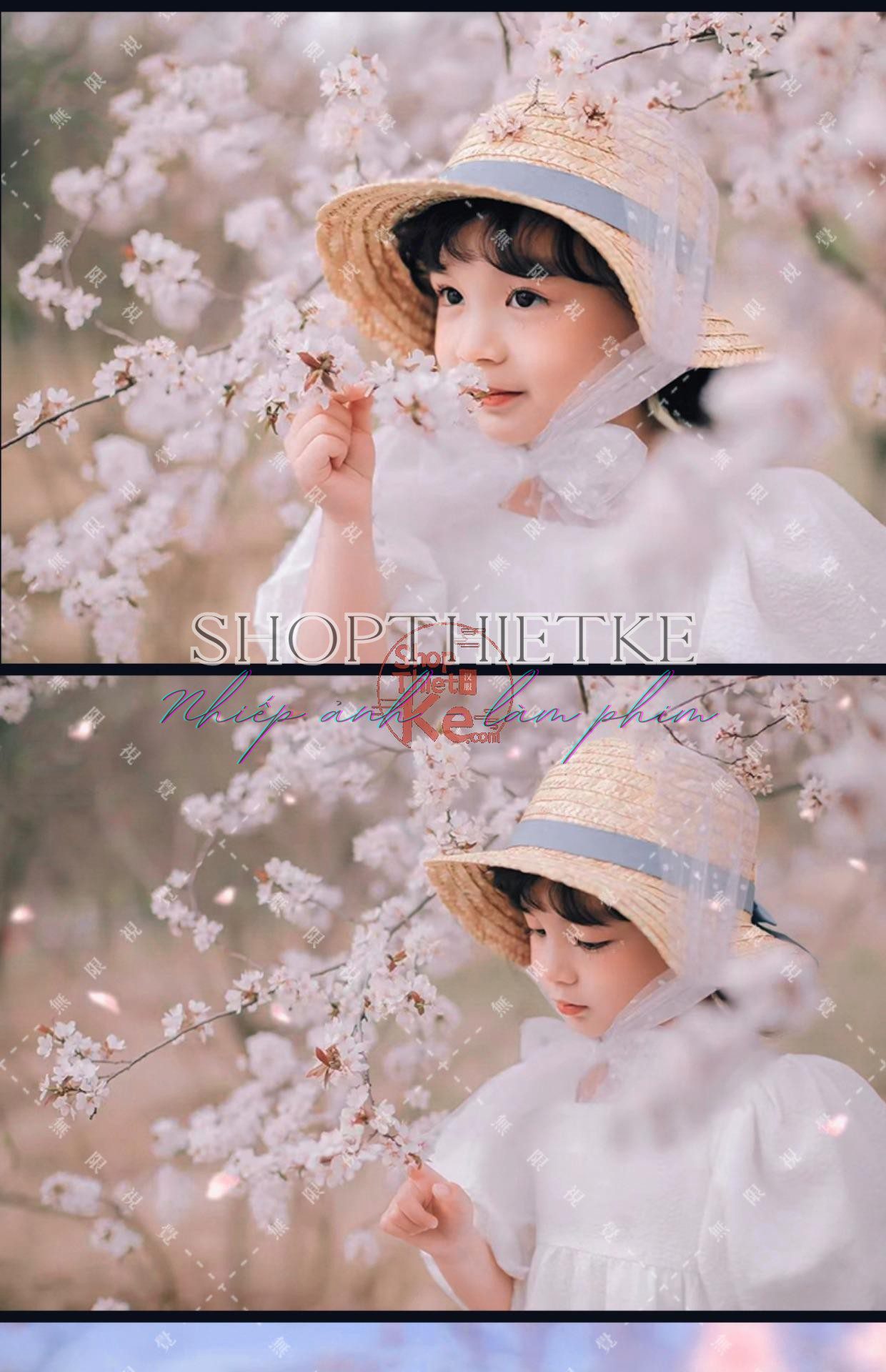 shopthietke com Shopthietke.com 349