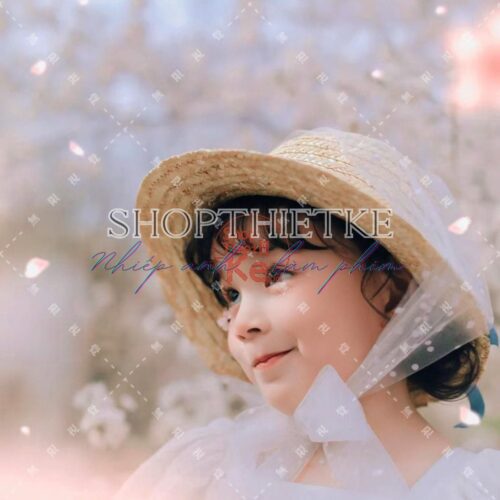 Sakura Film Preset Collection – 17 Tông Màu Phim Hồng Nhẹ Như Hoa Anh Đào (XMP/DNG/CUBE/COS)