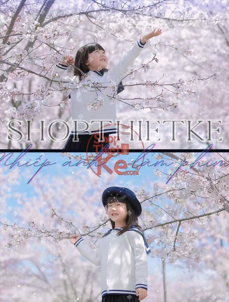 shopthietke com Shopthietke.com 351