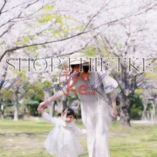 Sakura Film Preset Collection – 17 Tông Màu Phim Hồng Nhẹ Như Hoa Anh Đào (XMP/DNG/CUBE/COS)