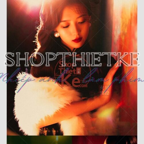 51 Màu Điện Ảnh Hong Kong Portrait Retro Cho Lightroom & Premiere (XMP/DNG/CUBE/COS)