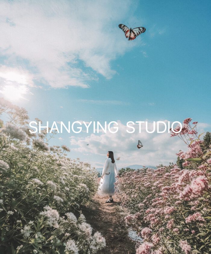 04 Lọc Màu Du Lịch Tự Nhiên – Preset Lightroom & LUT Phong Cách Phim Nhật Cực Chill (XMP/DNG/CUBE)