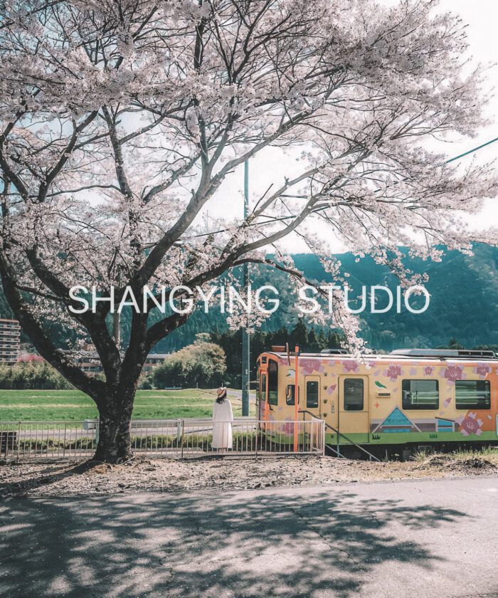 04 Lọc Màu Du Lịch Tự Nhiên – Preset Lightroom & LUT Phong Cách Phim Nhật Cực Chill (XMP/DNG/CUBE)