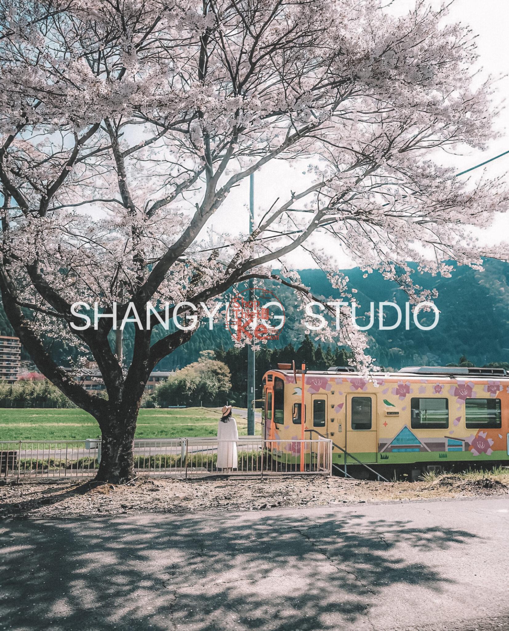 04 Lọc Màu Du Lịch Tự Nhiên – Preset Lightroom & LUT Phong Cách Phim Nhật Cực Chill (XMP/DNG/CUBE) 32 shopthietke com Shopthietke.com 409 scaled