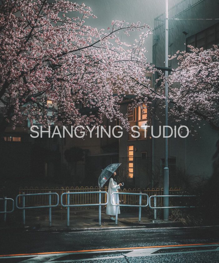 04 Lọc Màu Du Lịch Tự Nhiên – Preset Lightroom & LUT Phong Cách Phim Nhật Cực Chill (XMP/DNG/CUBE)