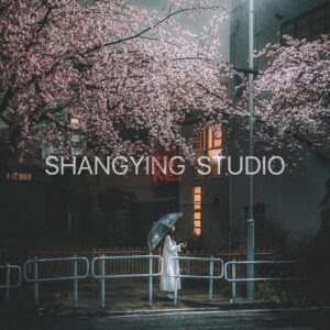 04 Lọc Màu Du Lịch Tự Nhiên – Preset Lightroom & LUT Phong Cách Phim Nhật Cực Chill (XMP/DNG/CUBE)