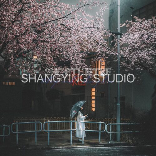 04 Lọc Màu Du Lịch Tự Nhiên – Preset Lightroom & LUT Phong Cách Phim Nhật Cực Chill (XMP/DNG/CUBE)