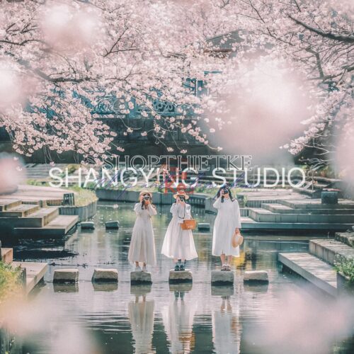 04 Lọc Màu Du Lịch Tự Nhiên – Preset Lightroom & LUT Phong Cách Phim Nhật Cực Chill (XMP/DNG/CUBE)