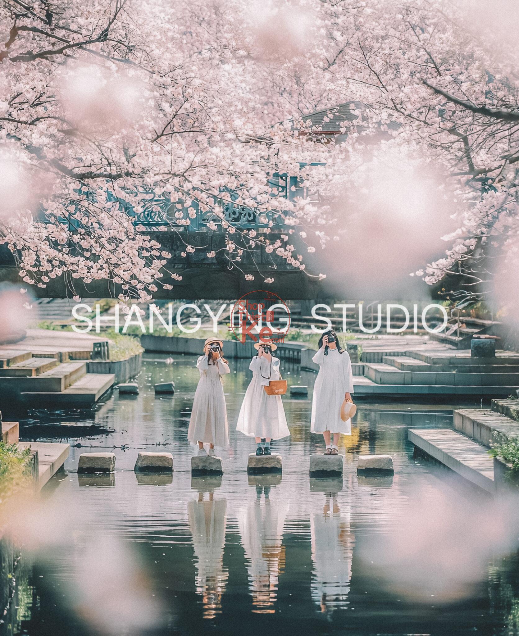 04 Lọc Màu Du Lịch Tự Nhiên – Preset Lightroom & LUT Phong Cách Phim Nhật Cực Chill (XMP/DNG/CUBE) 6 shopthietke com Shopthietke.com 412 scaled