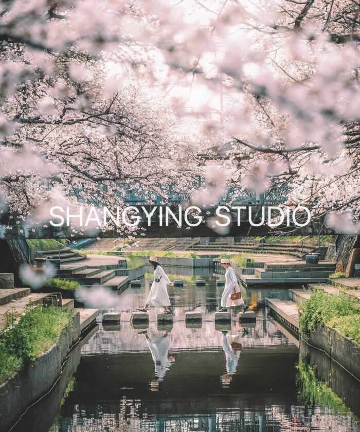 04 Lọc Màu Du Lịch Tự Nhiên – Preset Lightroom & LUT Phong Cách Phim Nhật Cực Chill (XMP/DNG/CUBE)