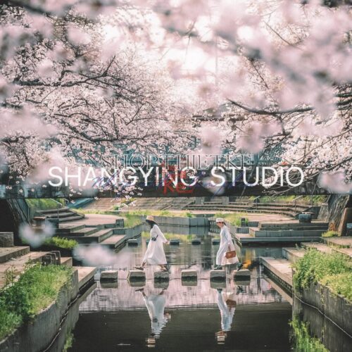 04 Lọc Màu Du Lịch Tự Nhiên – Preset Lightroom & LUT Phong Cách Phim Nhật Cực Chill (XMP/DNG/CUBE)