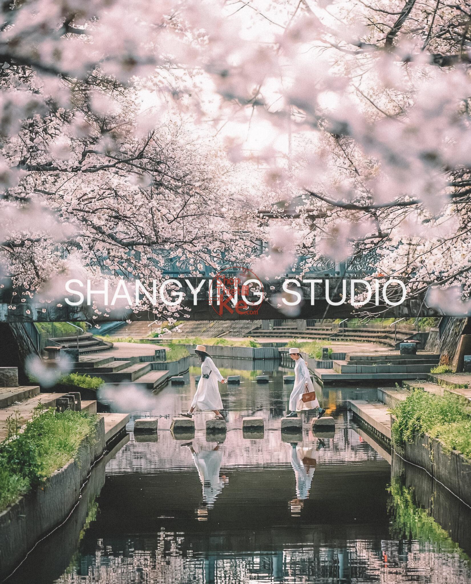 04 Lọc Màu Du Lịch Tự Nhiên – Preset Lightroom & LUT Phong Cách Phim Nhật Cực Chill (XMP/DNG/CUBE) 36 shopthietke com Shopthietke.com 413 scaled