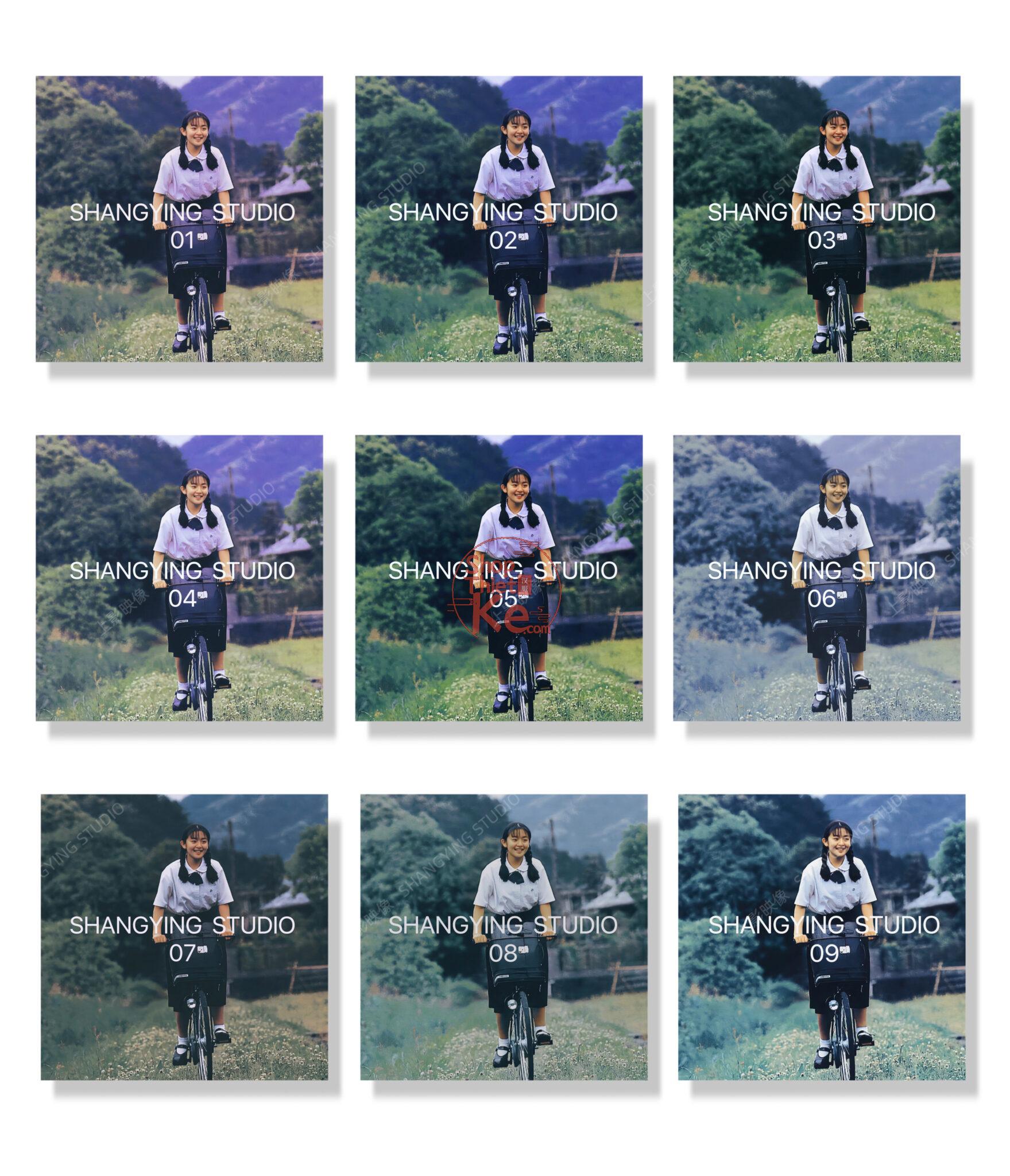 09 Preset Showa Vintage – Màu Phim Retro Cho Ảnh Cưới Và Chân Dung (XMP profile/CUBE) 6 shopthietke com Shopthietke.com 416 scaled