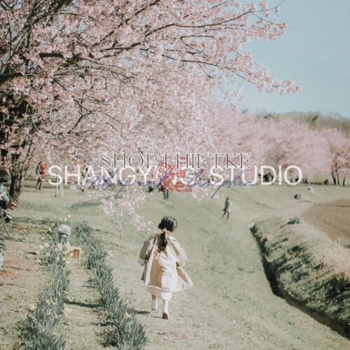 06 Preset Nhật Bản – Tông Màu Film Trong Trẻo Cho Ảnh Bé & Gia Đình (XMP/CUBE)