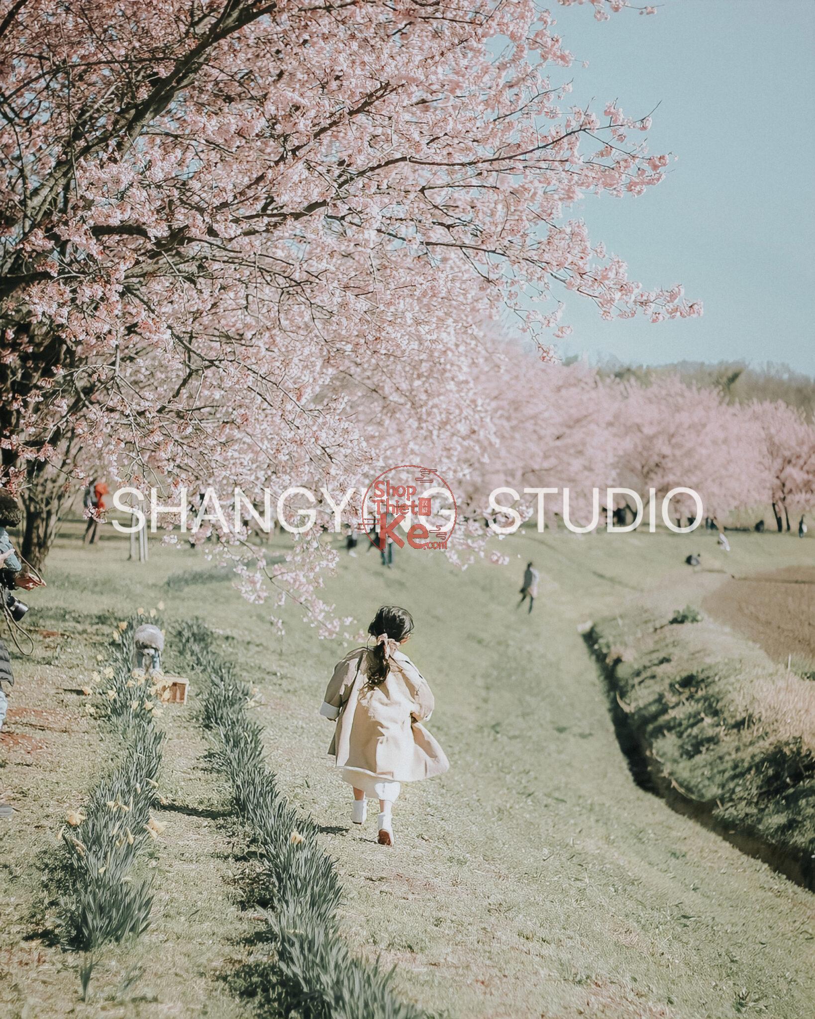 06 Preset Nhật Bản – Tông Màu Film Trong Trẻo Cho Ảnh Bé & Gia Đình (XMP/CUBE) 3 shopthietke com Shopthietke.com 449 scaled