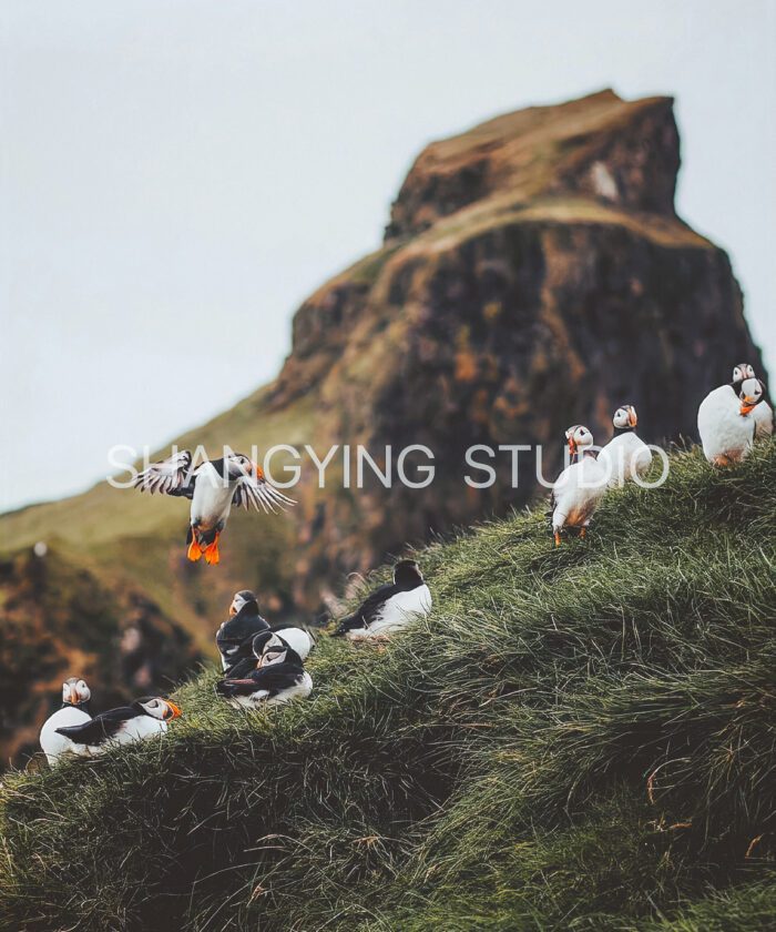 20 Bộ Lọc Màu Cinematic Faded – Preset Lightroom & LUT Cho Ảnh Phong Cảnh, Phim (XMP/DNG/CUBE)