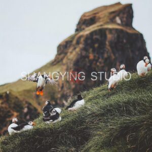 20 Bộ Lọc Màu Cinematic Faded – Preset Lightroom & LUT Cho Ảnh Phong Cảnh, Phim (XMP/DNG/CUBE)