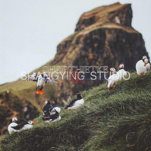 20 Bộ Lọc Màu Cinematic Faded – Preset Lightroom & LUT Cho Ảnh Phong Cảnh, Phim (XMP/DNG/CUBE)