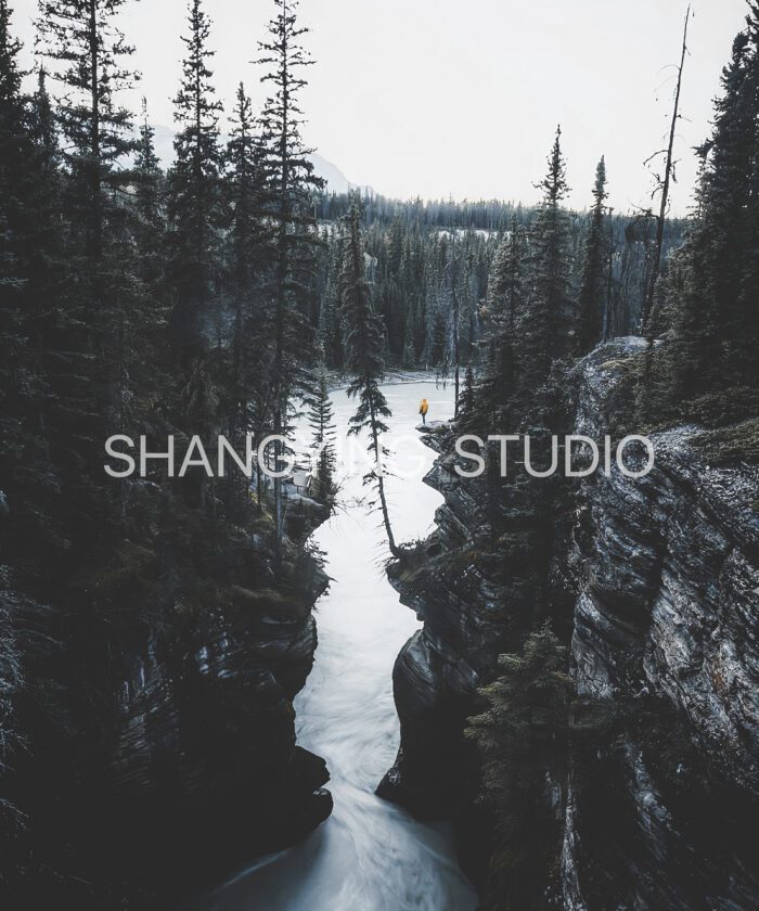 20 Bộ Lọc Màu Cinematic Faded – Preset Lightroom & LUT Cho Ảnh Phong Cảnh, Phim (XMP/DNG/CUBE)