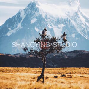 20 Bộ Lọc Màu Cinematic Faded – Preset Lightroom & LUT Cho Ảnh Phong Cảnh, Phim (XMP/DNG/CUBE)