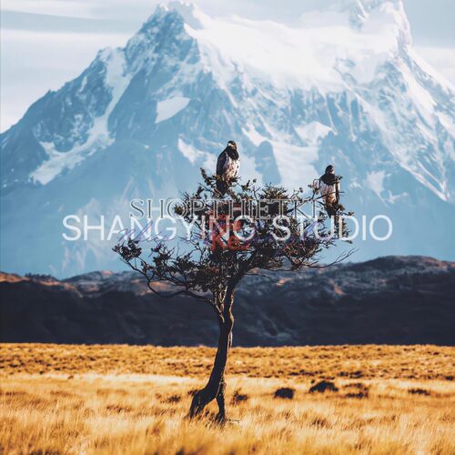 20 Bộ Lọc Màu Cinematic Faded – Preset Lightroom & LUT Cho Ảnh Phong Cảnh, Phim (XMP/DNG/CUBE)