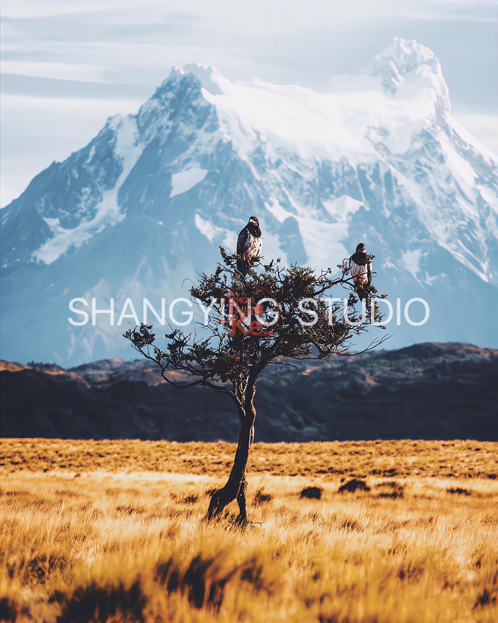 20 Bộ Lọc Màu Cinematic Faded – Preset Lightroom & LUT Cho Ảnh Phong Cảnh, Phim (XMP/DNG/CUBE) 59 shopthietke com Shopthietke.com 527 scaled