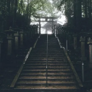 Bộ Preset Từ NAG Hiro – Chỉnh Màu Đường Phố & Đêm Đô Thị Nhật Bản (XMP/DNG/CUBE)