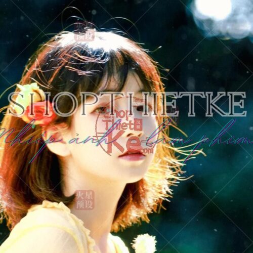 45 Preset Phim Cổ Điển Cho Chân Dung & Ảnh Ngoại Cảnh Lightroom Photoshop (XMP/DNG/CUBE/COS)