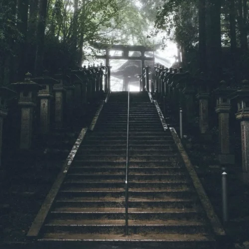 Bộ Preset Từ NAG Hiro – Chỉnh Màu Đường Phố & Đêm Đô Thị Nhật Bản (XMP/DNG/CUBE) 20 shopthietke com Shopthietke.com 53