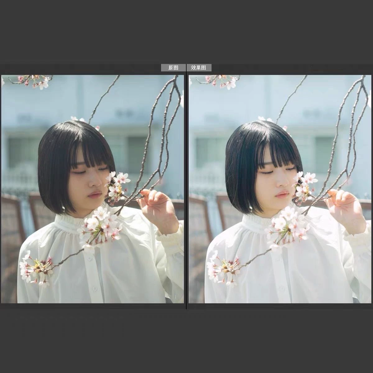 shopthietke com Shopthietke.com 64