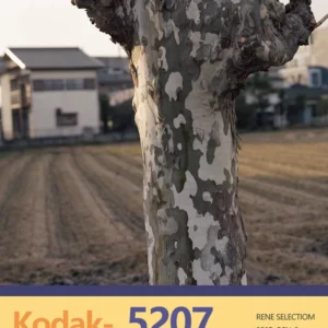 Preset Lightroom/Ps Kodak 5207 – Tone Film Nhật Bản Điện Ảnh Cổ Điển (XMP)