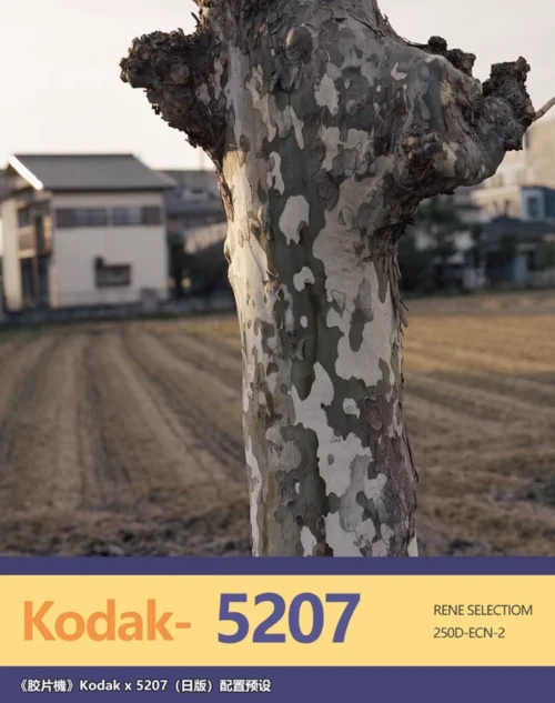 Preset Lightroom/Ps Kodak 5207 – Tone Film Nhật Bản Điện Ảnh Cổ Điển (XMP)