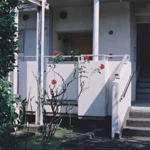 Preset Lightroom/Ps Kodak 5207 – Tone Film Nhật Bản Điện Ảnh Cổ Điển (XMP)